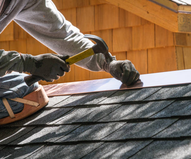 Best Roof Gutter Cleaning  in Osseo, WI